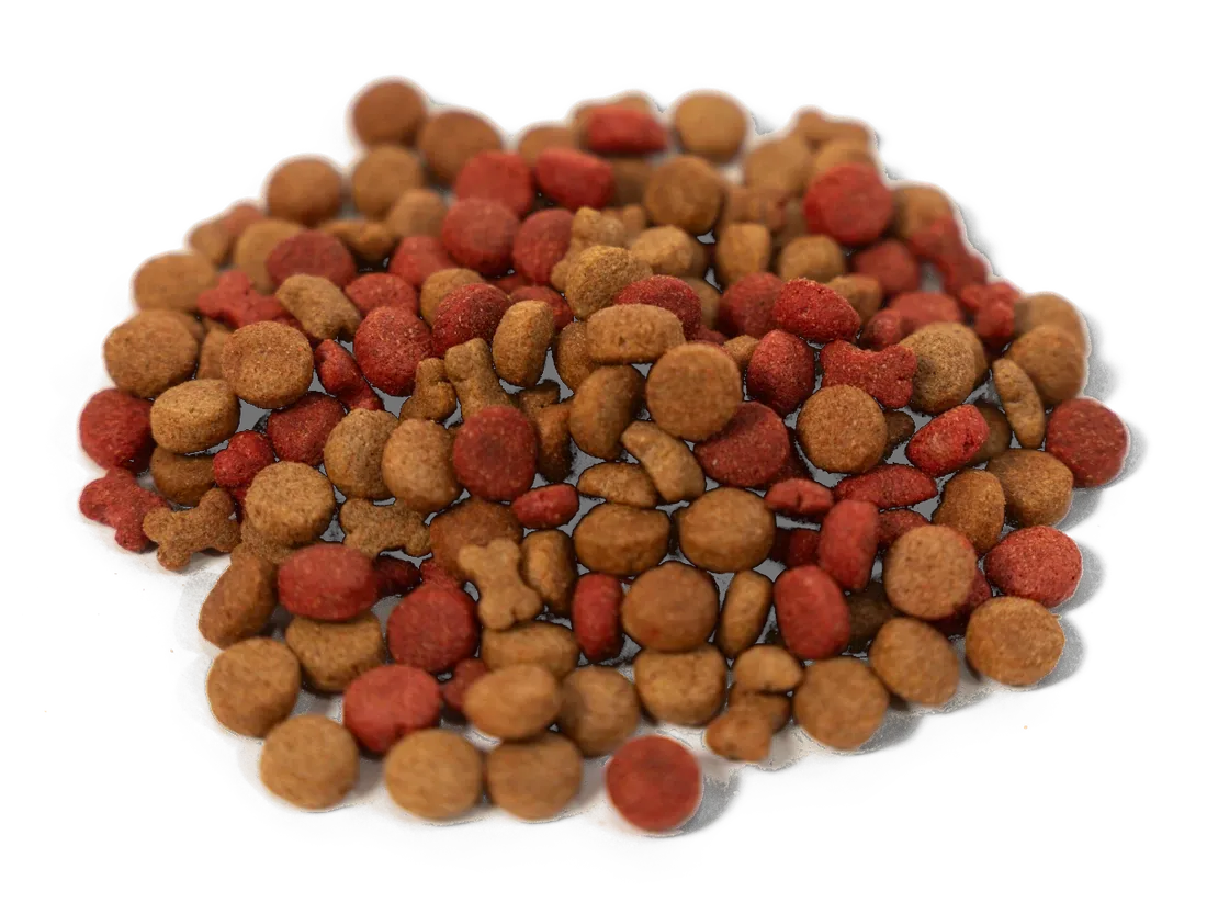 La croqueta Cancat